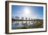 Swan on the Shore of a Sunny Canal in Winter-Jan Marijs-Framed Photographic Print