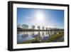 Swan on the Shore of a Sunny Canal in Winter-Jan Marijs-Framed Photographic Print