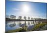 Swan on the Shore of a Sunny Canal in Winter-Jan Marijs-Mounted Photographic Print