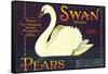 Swan Pear Label-null-Framed Stretched Canvas