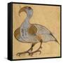 Swan-Phoenix-Aristotle ibn Bakhtishu-Framed Stretched Canvas