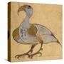 Swan-Phoenix-Aristotle ibn Bakhtishu-Stretched Canvas