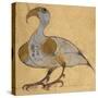 Swan-Phoenix-Aristotle ibn Bakhtishu-Stretched Canvas