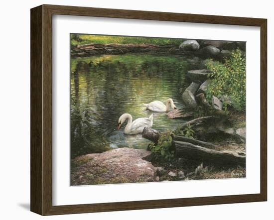 Swan Song-Kevin Dodds-Framed Giclee Print