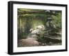 Swan Song-Kevin Dodds-Framed Giclee Print