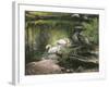 Swan Song-Kevin Dodds-Framed Giclee Print