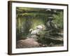 Swan Song-Kevin Dodds-Framed Giclee Print