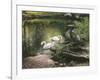 Swan Song-Kevin Dodds-Framed Giclee Print