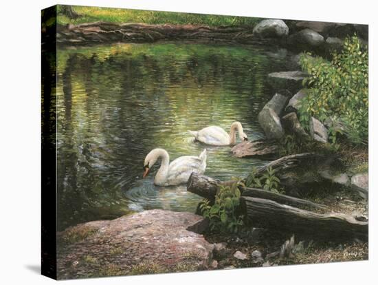 Swan Song-Kevin Dodds-Stretched Canvas