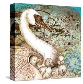 Swan Splash-Roberta Collier Morales-Stretched Canvas