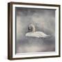 Swan Storm-Jai Johnson-Framed Giclee Print