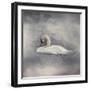 Swan Storm-Jai Johnson-Framed Giclee Print