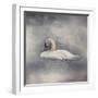 Swan Storm-Jai Johnson-Framed Giclee Print