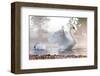 Swan Stretching on Misty Lake-null-Framed Art Print