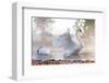 Swan Stretching on Misty Lake-null-Framed Art Print