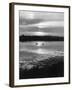 Swan Sunset-null-Framed Photographic Print