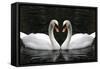 Swan Symbol of Love-mamaluk-Framed Stretched Canvas