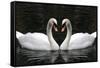 Swan Symbol of Love-mamaluk-Framed Stretched Canvas