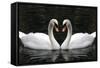 Swan Symbol of Love-mamaluk-Framed Stretched Canvas