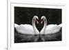 Swan Symbol of Love-mamaluk-Framed Photographic Print