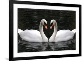 Swan Symbol of Love-mamaluk-Framed Photographic Print