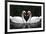 Swan Symbol of Love-mamaluk-Framed Photographic Print