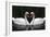 Swan Symbol of Love-mamaluk-Framed Photographic Print