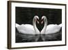 Swan Symbol of Love-mamaluk-Framed Photographic Print