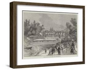 Swan-Upping on the Thames, from Brentford Ait-null-Framed Giclee Print