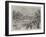 Swan-Upping on the Thames, from Brentford Ait-null-Framed Giclee Print