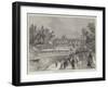 Swan-Upping on the Thames, from Brentford Ait-null-Framed Giclee Print