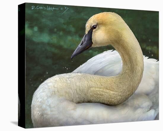 Swan-Chris Vest-Stretched Canvas