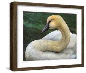 Swan-Chris Vest-Framed Art Print