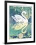 Swan-David Chestnutt-Framed Giclee Print