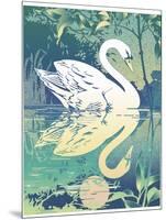 Swan-David Chestnutt-Mounted Giclee Print