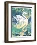 Swan-David Chestnutt-Framed Giclee Print