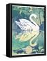 Swan-David Chestnutt-Framed Stretched Canvas