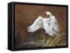 Swan-Trevor V. Swanson-Framed Stretched Canvas