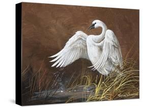 Swan-Trevor V. Swanson-Stretched Canvas
