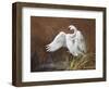 Swan-Trevor V. Swanson-Framed Giclee Print