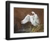 Swan-Trevor V. Swanson-Framed Giclee Print