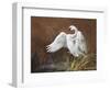 Swan-Trevor V. Swanson-Framed Giclee Print