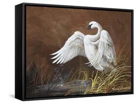 Swan-Trevor V. Swanson-Framed Stretched Canvas