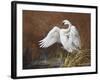 Swan-Trevor V. Swanson-Framed Giclee Print