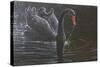 Swan-Michael Jackson-Stretched Canvas