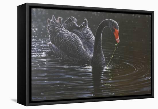 Swan-Michael Jackson-Framed Stretched Canvas