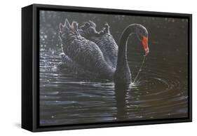 Swan-Michael Jackson-Framed Stretched Canvas