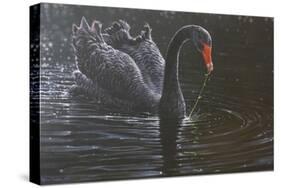 Swan-Michael Jackson-Stretched Canvas