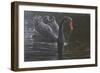 Swan-Michael Jackson-Framed Giclee Print