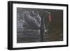 Swan-Michael Jackson-Framed Giclee Print